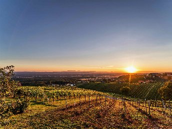 Erholung & Romantik im steirischen Weinberg-Chalet | 5 Nächte