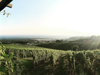 Erholung & Romantik im steirischen Weinberg-Chalet | 5 Nächte