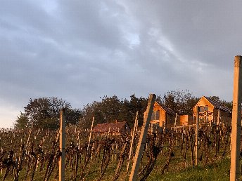 Erholung & Romantik im steirischen Weinberg-Chalet | 5 Nächte