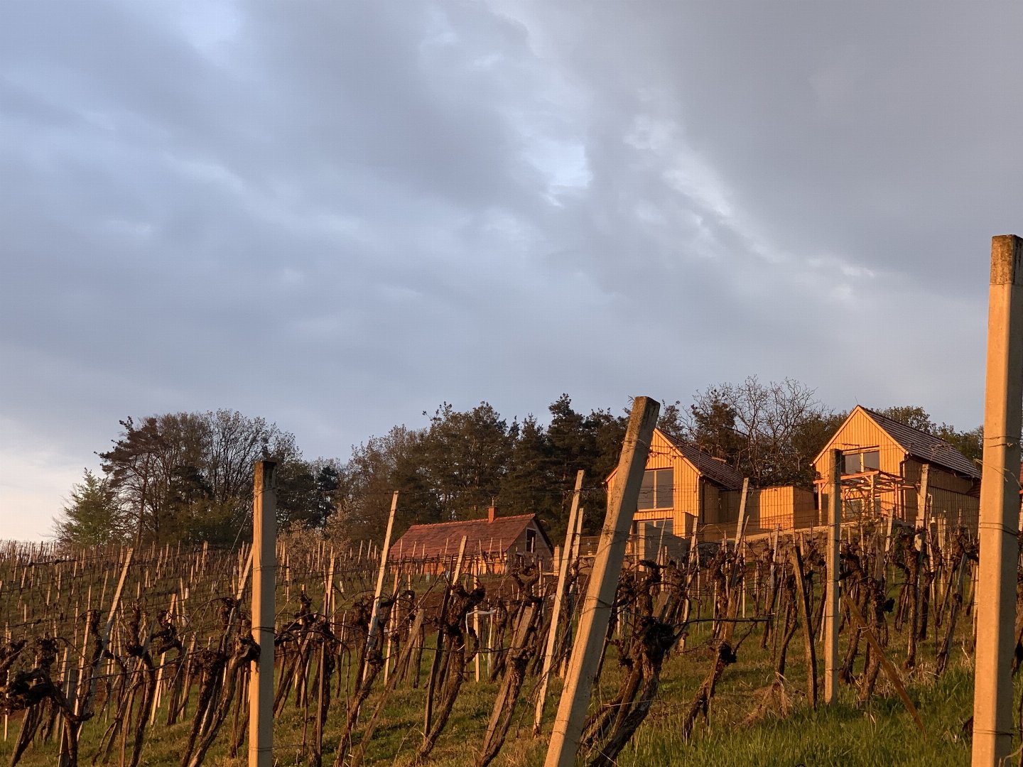 Erholung & Romantik im steirischen Weinberg-Chalet | 5 Nächte