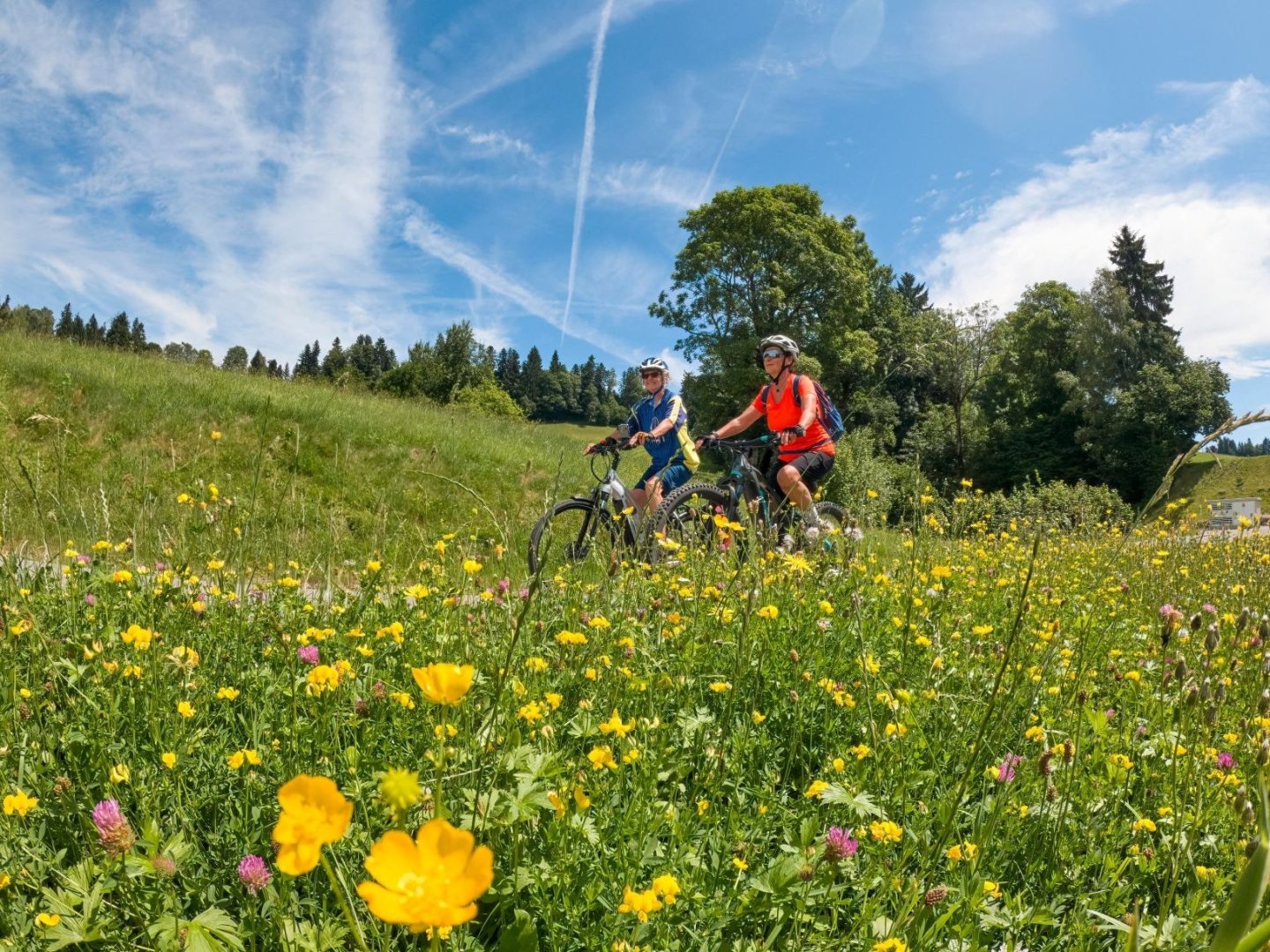 Bike Experience Saalfelden / Leogang 3 Nächte  