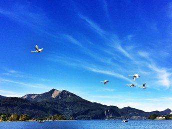 Auszeit am Wolfgangsee mit Wellness-Alm | 3 Tage