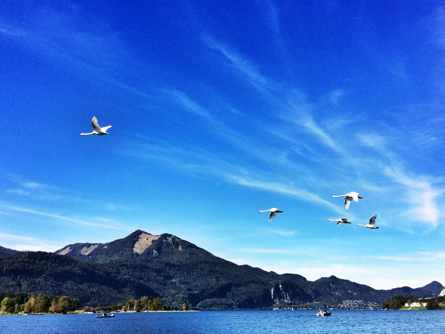 Auszeit am Wolfgangsee mit Wellness-Alm | 3 Tage