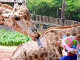 2 Tage Zoo-Familienabenteuer im Ruhrgebiet