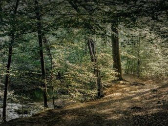 Ihre Luxus-Auszeit in der Diepeschrather Mühle im Bergischen Land – 3 Tage pure Entspannung und Genuss