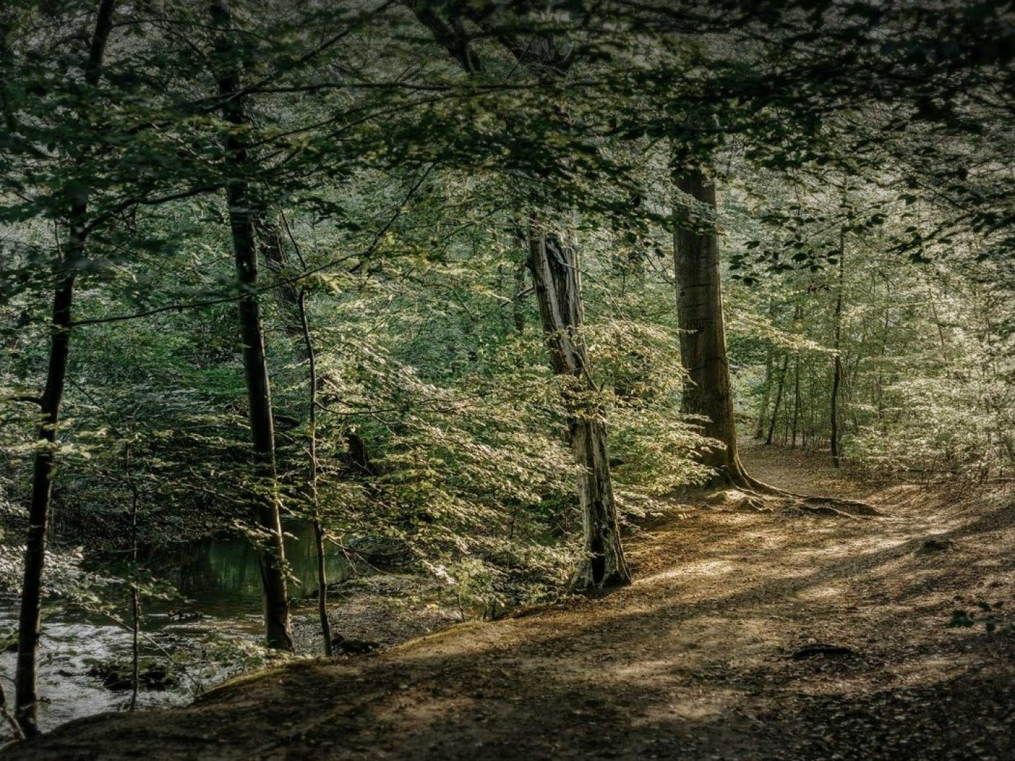 Ihre Luxus-Auszeit in der Diepeschrather Mühle im Bergischen Land – 3 Tage pure Entspannung und Genuss