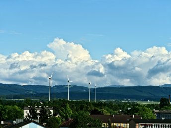 Kultursommer mit Dom-Museum in St. Pölten | 2 Nächte