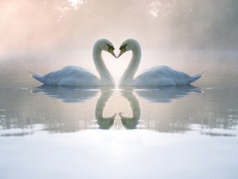 Winterschnäppchen am Beetzsee - 5 Tage inkl. HP plus