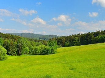 Bild 18 von 20