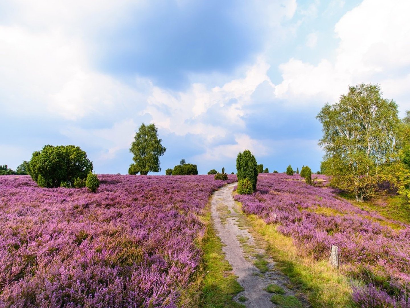 Kurzurlaub in der Lüneburger Heide