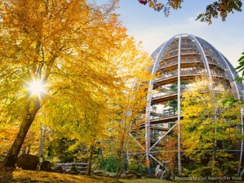 5 Tage Wellnesswinter mit Schneeschuhen und Massage