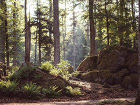 Guten Rutsch ins Wellness-Glück