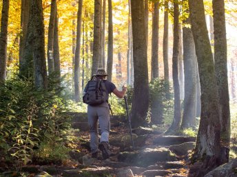 5 Tage Wellnesswinter mit Schneeschuhen und Massage