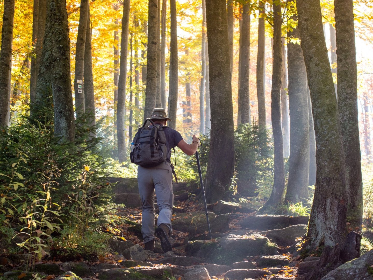 5 Tage Wellnesswinter mit Schneeschuhen und Massage