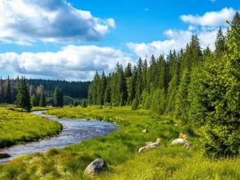 5 Tage Wellnesswinter mit Schneeschuhen und Massage