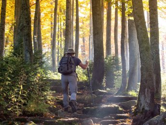 5 Wellness-Wandertage im Bayerischer Wald: Deine Auszeit