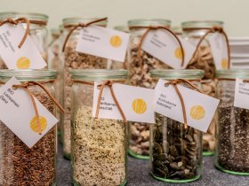 2 Tage fürstliches Regensburg – Schloss Thurn & Taxis, Stadtführung & Rotweingenuss