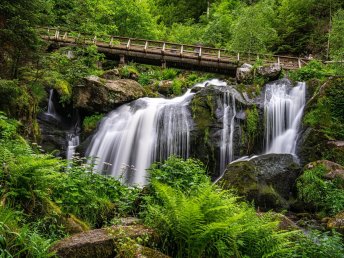 Aktiv entspannen: Schwarzwald-Wanderung & Paracelsus-Therme Bad Liebenzell