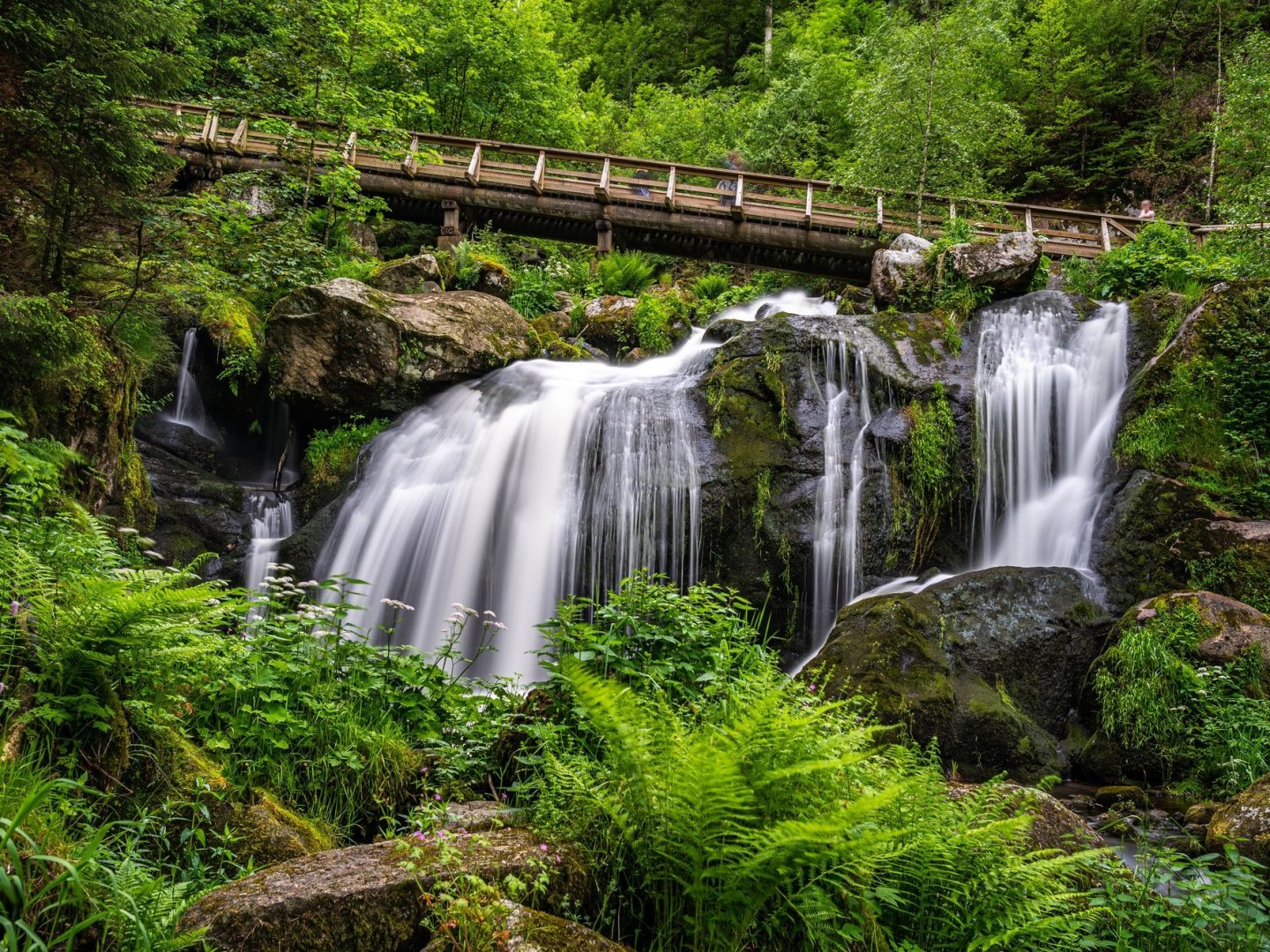Aktiv entspannen: Schwarzwald-Wanderung & Paracelsus-Therme Bad Liebenzell