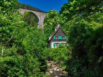 Aktiv entspannen: Schwarzwald-Wanderung & Paracelsus-Therme Bad Liebenzell