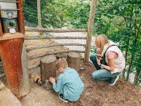 Natur-Auszeit in den Dolomiten | 3 Nächte