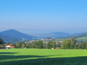 Abenteuer Bayerischer Wald - Urlaub mit Hund | 3 Tage
