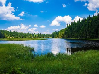 Bayerischer Wald für Entdecker | 3 Tage