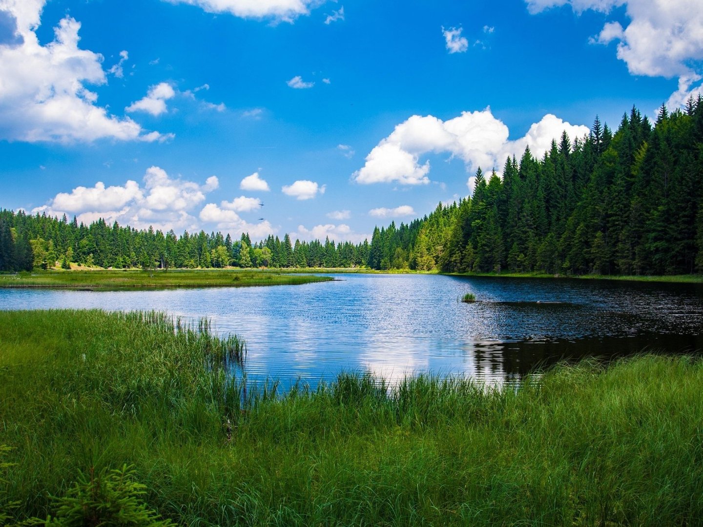 Bayerischer Wald für Entdecker | 5 Tage  