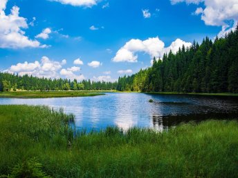 Bayerischer Wald für Entdecker inkl. HP | 4 Tage  