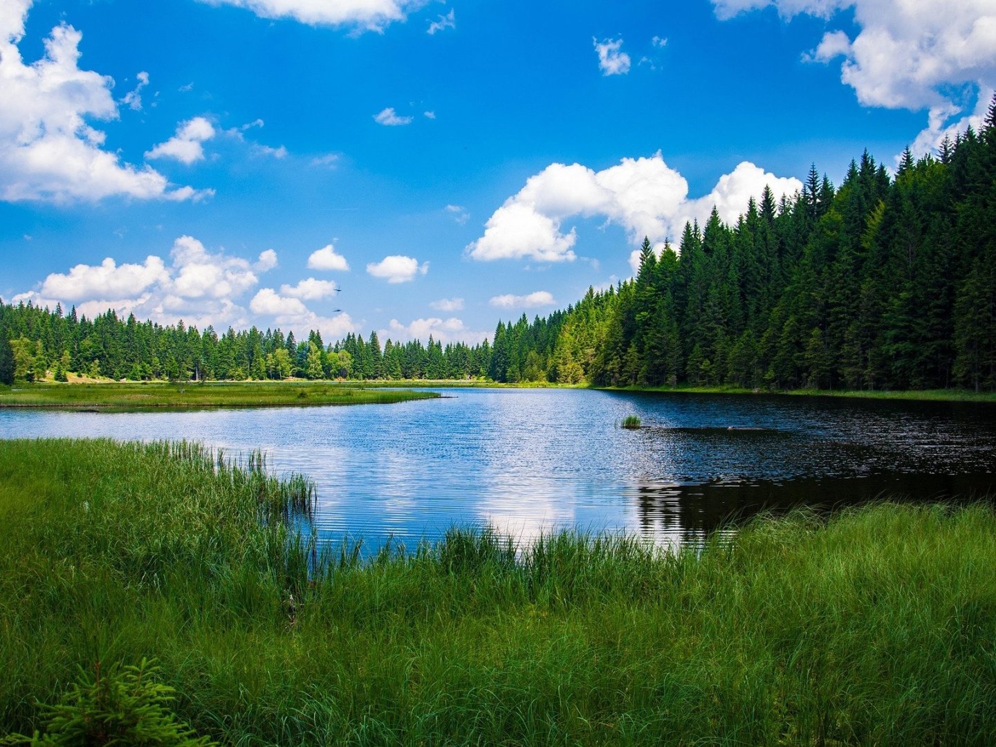 Bayerischer Wald für Entdecker inkl. HP | 4 Tage  