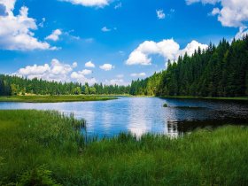 Bayerischer Wald für Entdecker | 2 Tage 