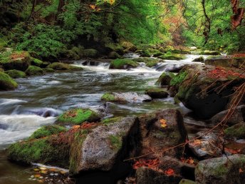 Auszeit im Harz inkl. Abendessen I 3 Tage Kurz - Mal - Natur