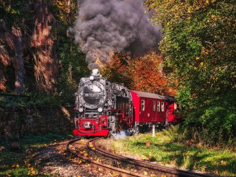 Auszeit im Harz inkl. Abendessen I 3 Tage Kurz - Mal - Natur