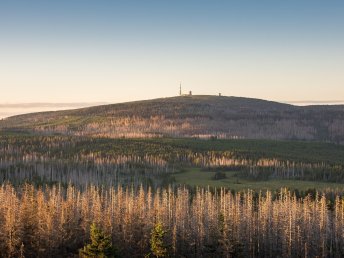 Erholung pur im Harz I 7 Tage Kurzurlaub  