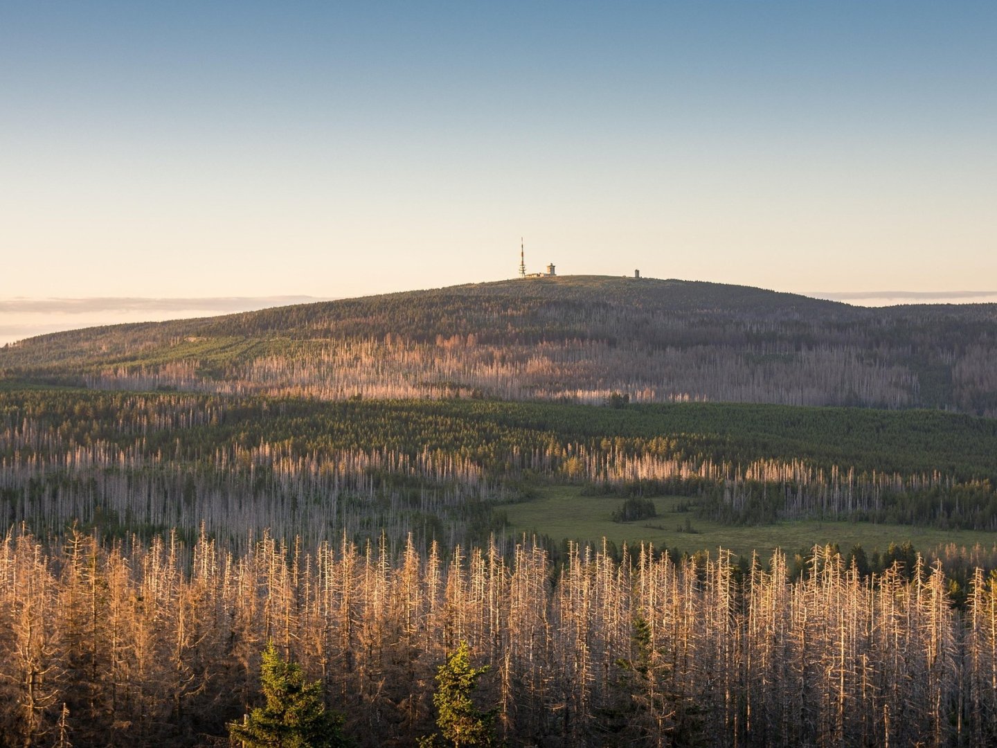 Erholung pur im Harz I 7 Tage Kurzurlaub  