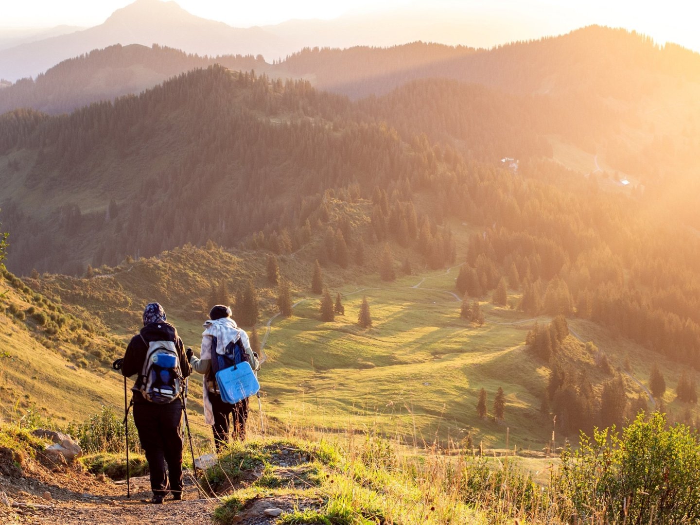 4 Tage Wanderurlaub im Schwarzwald