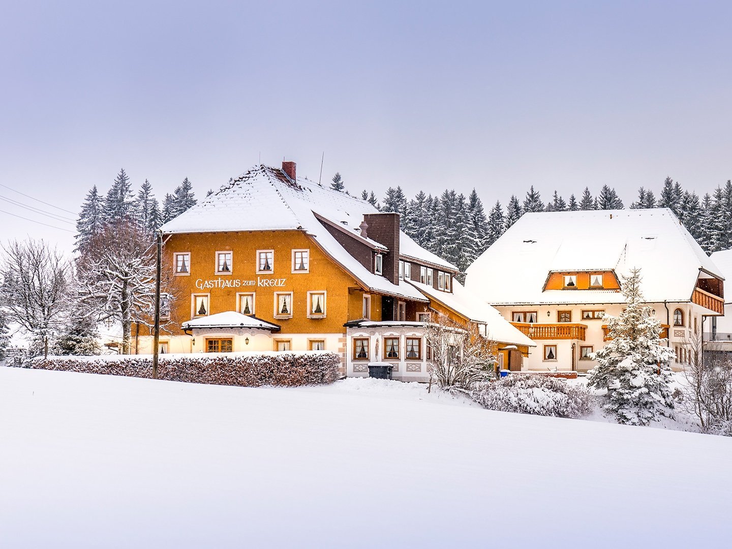 Erholsame Auszeit im Hochschwarzwald – 6 Tage voller Genuss, Entspannung und täglichen Abendmenüs