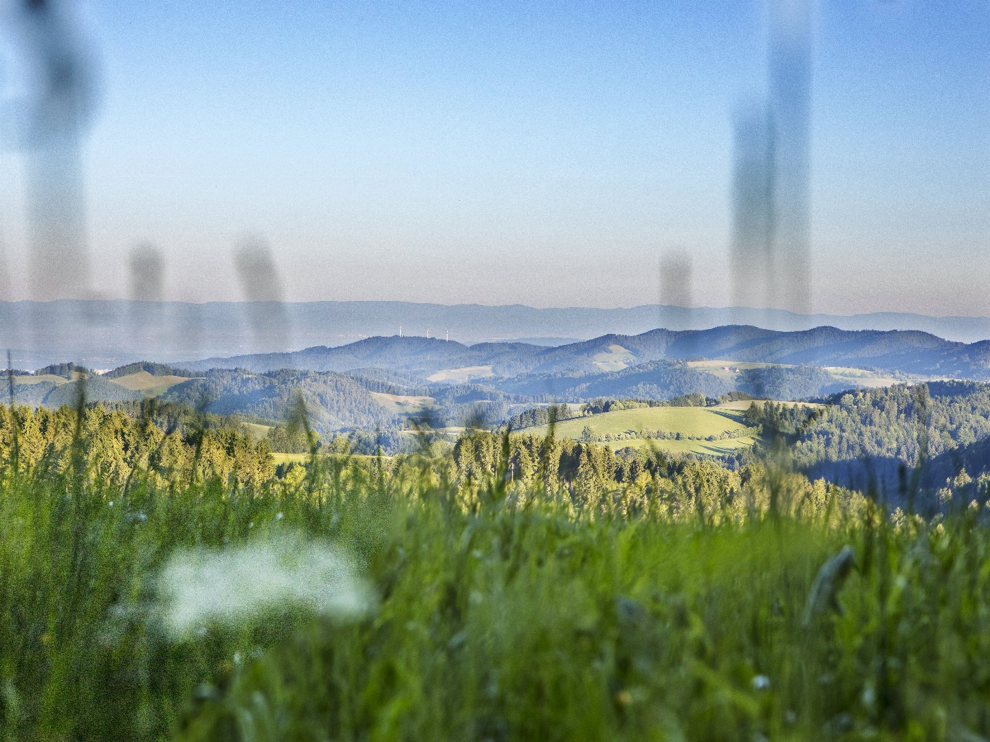 Erholsame Auszeit im Hochschwarzwald – 6 Tage voller Genuss, Entspannung und täglichen Abendmenüs
