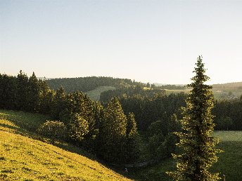 Erholsame Auszeit im Hochschwarzwald – 6 Tage voller Genuss, Entspannung und täglichen Abendmenüs