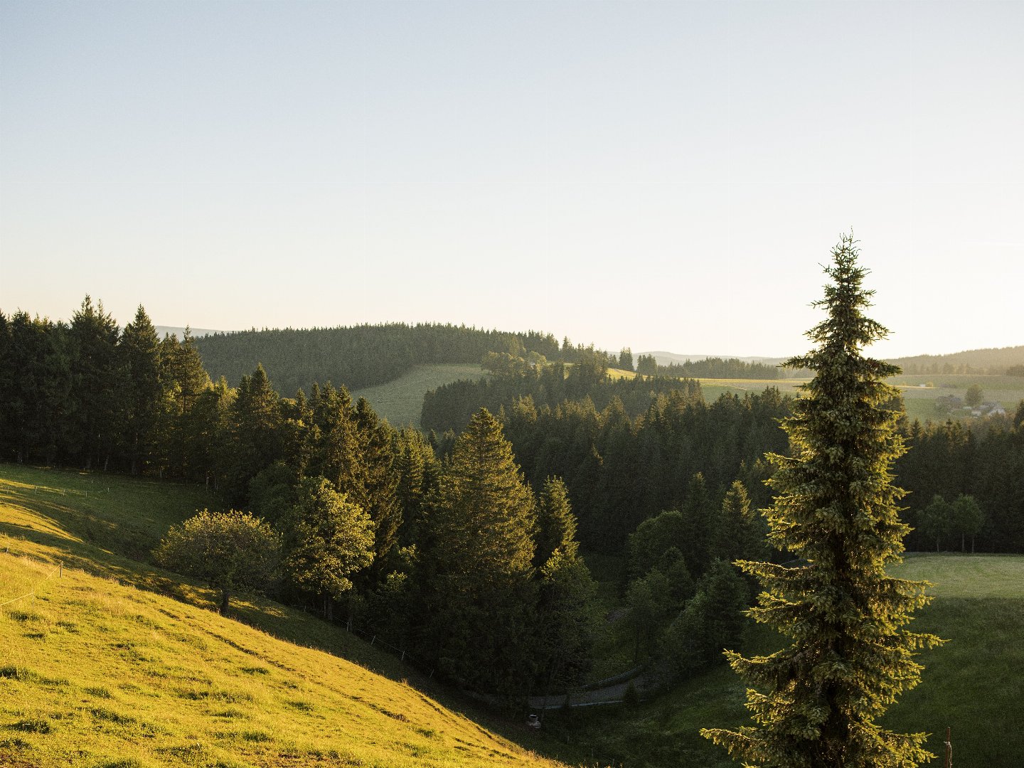 Erholsame Auszeit im Hochschwarzwald – 6 Tage voller Genuss, Entspannung und täglichen Abendmenüs