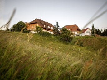 Erholsame Auszeit im Hochschwarzwald – 6 Tage voller Genuss, Entspannung und täglichen Abendmenüs