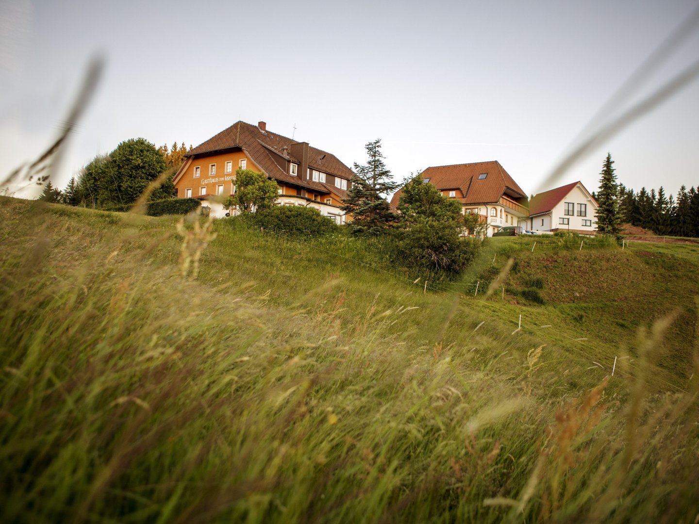 Erholsame Auszeit im Hochschwarzwald – 6 Tage voller Genuss, Entspannung und täglichen Abendmenüs