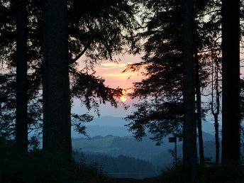 Erholsame Auszeit im Hochschwarzwald – 6 Tage voller Genuss, Entspannung und täglichen Abendmenüs