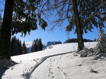 Erholsame Auszeit im Hochschwarzwald – 6 Tage voller Genuss, Entspannung und täglichen Abendmenüs