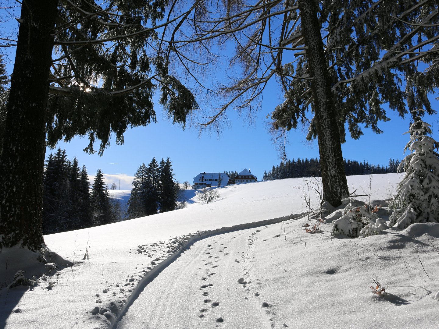 Erholsame Auszeit im Hochschwarzwald – 6 Tage voller Genuss, Entspannung und täglichen Abendmenüs