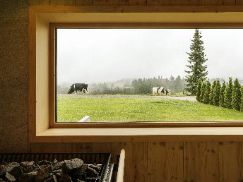 6 Tage Auszeit im Hochschwarzwald mit 3 x Abendmenü und schickem Wellnessbereich
