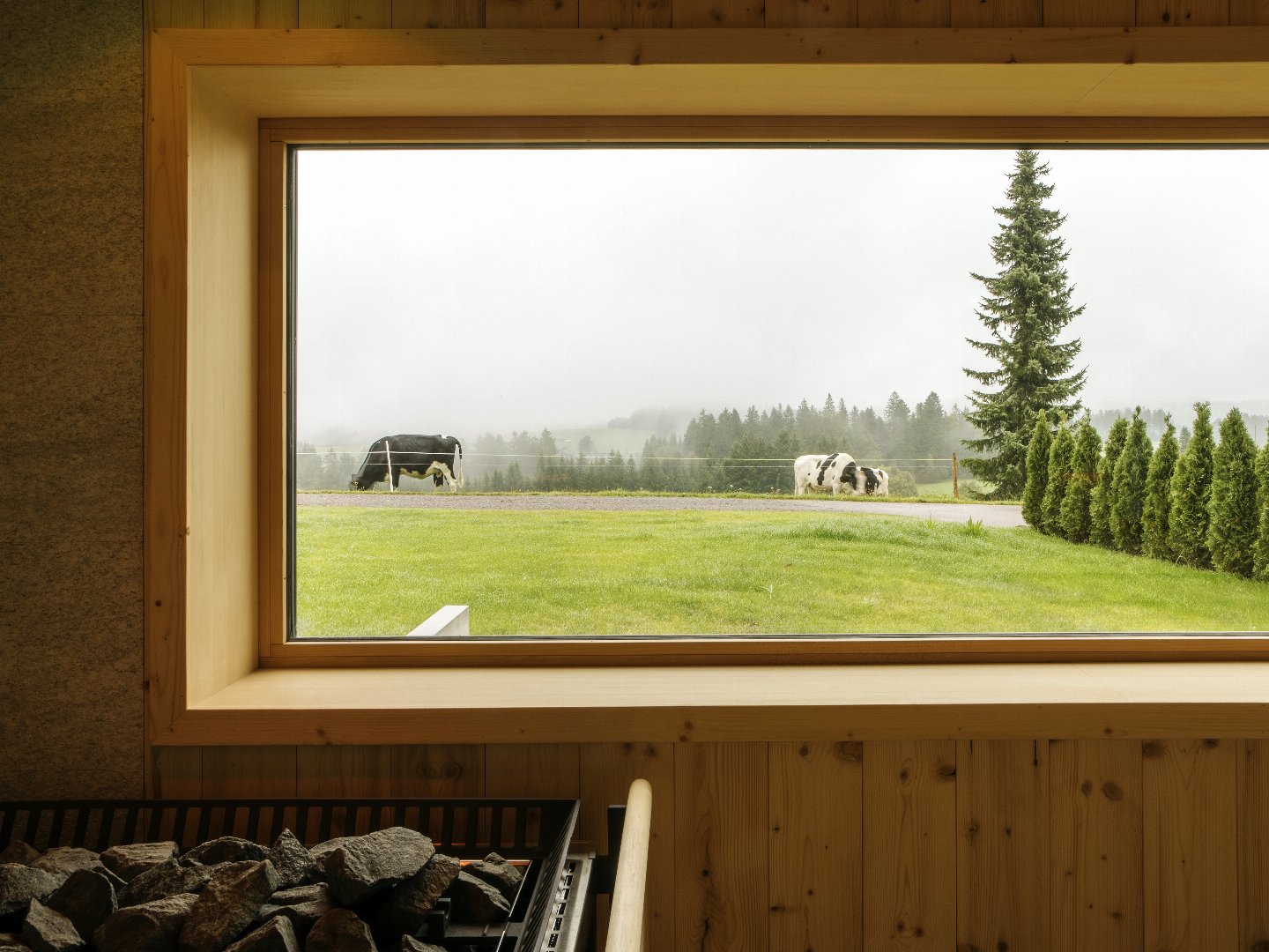 6 Tage Auszeit im Hochschwarzwald mit 3 x Abendmenü und schickem Wellnessbereich