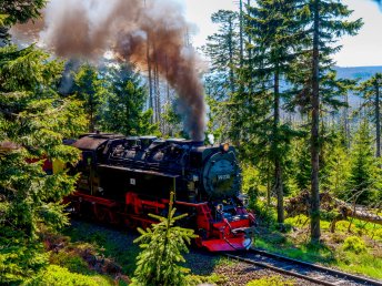 Stadtgeflüster & Fachwerkzauber in Wernigerode - 3 Tage im Harz