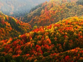 Harzzeit & Bahnerlebnis - 5 Tage in Wernigerode