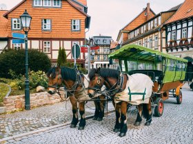 Harz-Abenteuer in Wernigerode